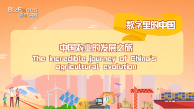 China's incredible 75-year journey of agricultural evolution