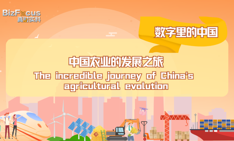 China's incredible 75-year journey of agricultural evolution