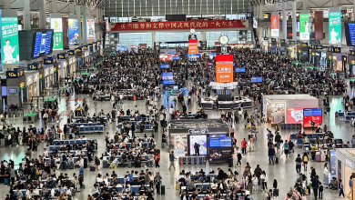 China's railways seeing surge in return trips as holiday nears end