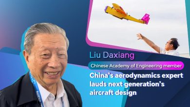 Chinese aerodynamics expert lauds next generation's aircraft design