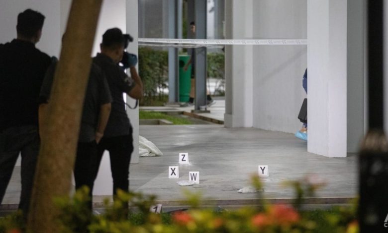 Clementi HDB death: 50-year-old man to be charged with murder