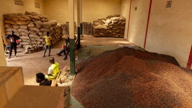 Cocoa prices help Ivory Coast win credit upgrade from S&P