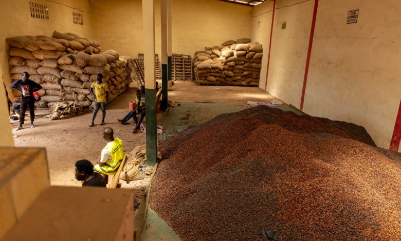 Cocoa prices help Ivory Coast win credit upgrade from S&P