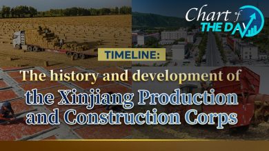 Development of the Xinjiang Production and Construction Corps