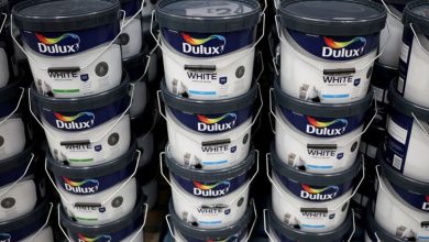 Dulux paint maker AkzoNobel to review options for its portfolio in South Asia