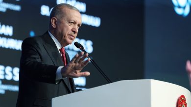 Erdoğan says inflation being curbed but decline not sufficient yet