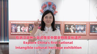 Explore China's first national intangible cultural heritage exhibition