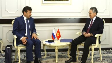 Foreign Minister of Kyrgyzstan and Ambassador of Russia discuss issues of entry of Kyrgyz citizens into Russia