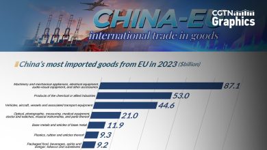 Graphics: 10 most traded goods between China and EU