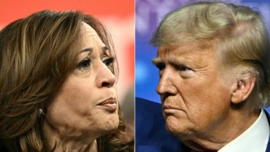 Harris, Trump barnstorm battlegrounds seeking to break deadlock