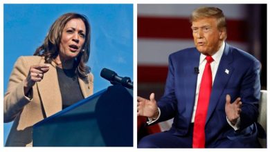 Harris leads Trump in key Rust Belt states: Poll