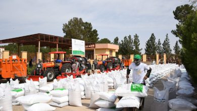 IOFS, Kazakhstan Strengthen Food Security in Earthquake-Affected West Afghanistan