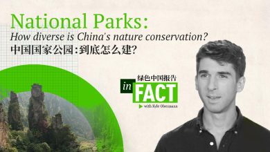 In Fact: How diverse is China's nature conservation?