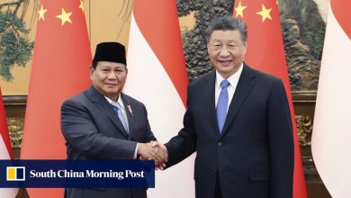 Indonesians conflicted about China, see it as closest ally and biggest threat: survey