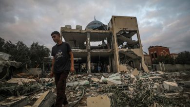 Int'l support for Palestine grows as Israel's Gaza genocide marks 1 year