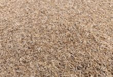 Kazakhstan Launches Innovative Production of Rice Husk-Based Material 