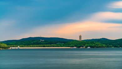 Live: Escaping to Changchun's serene Jingyuetan National Forest Park