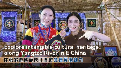 Live: Explore intangible cultural heritage along Yangtze River