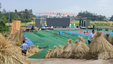 Live: Fishing competition and rice blading in SW China's Fuling