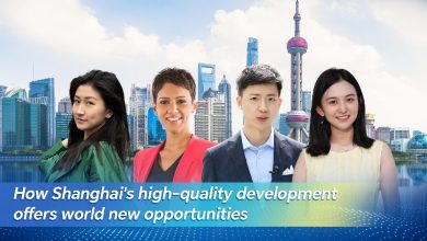 Live: Shanghai's high-quality development offers world fresh prospects