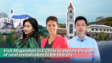 Live: Visit Moganshan to explore the path of rural revitalization