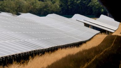 New solar to meet most of Europe’s power demand growth in winter