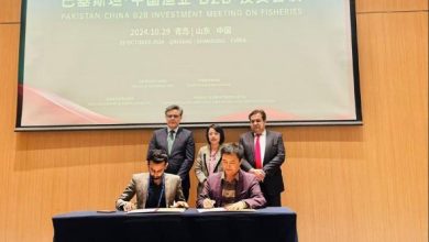 Pakistani Companies Sign Cooperation Deal With Chinese Partner Firms, Securing $64 Million In Investments Nsn Asia