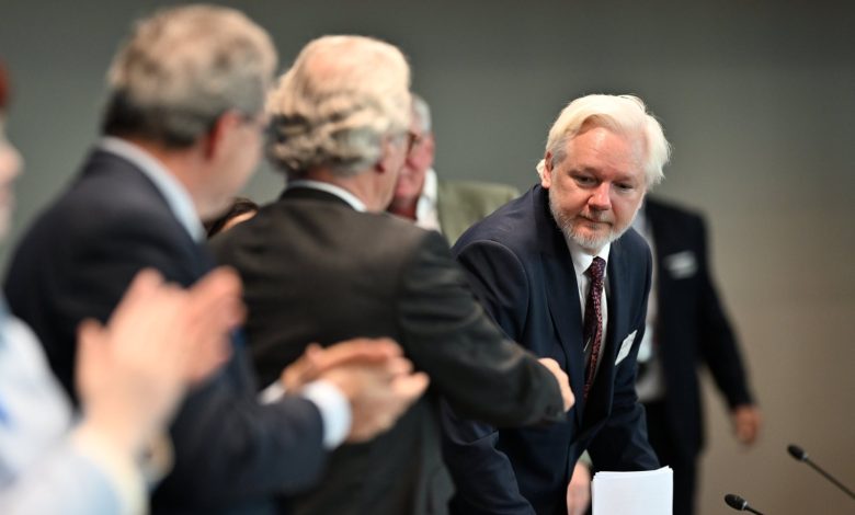 'Pleaded guilty to journalism': Assange tells Europe's rights body