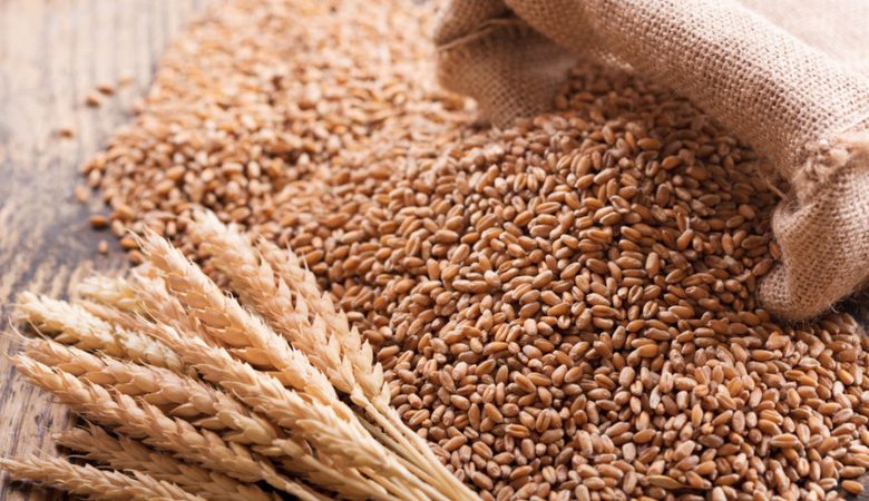 Russia bans import of grain from Kazakhstan