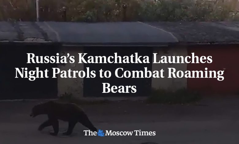 Russia’s Kamchatka Launches Night Patrols to Combat Roaming Bears