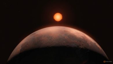 Small rocky planet detected in orbit about nearby Barnard's star