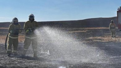 Steppe Fires Contained in Pavlodar, Karagandy Regions