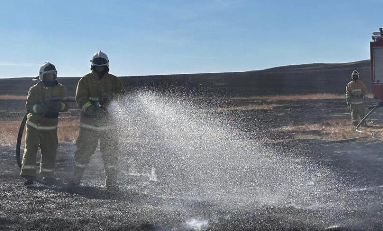 Steppe Fires Contained in Pavlodar, Karagandy Regions