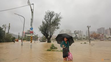 Taiwan clears up, slowly reopens after hit from Typhoon Krathon