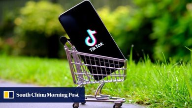 TikTok owner ByteDance faces flagging growth as e-commerce rivals, geopolitics take toll