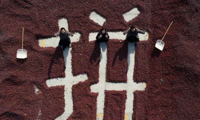 Transforming desolation: Resurgence of a desert city in Xinjiang