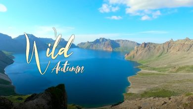 Wild Autumn: Changbai Mountain, museum of nature