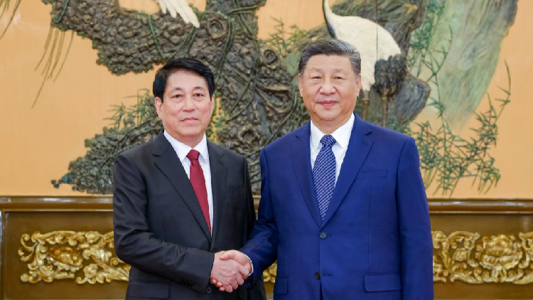 Xi Jinping meets senior Vietnamese official