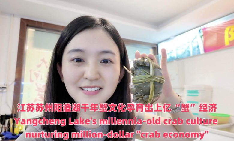 Yangcheng Lake's crab culture powers million-dollar economy