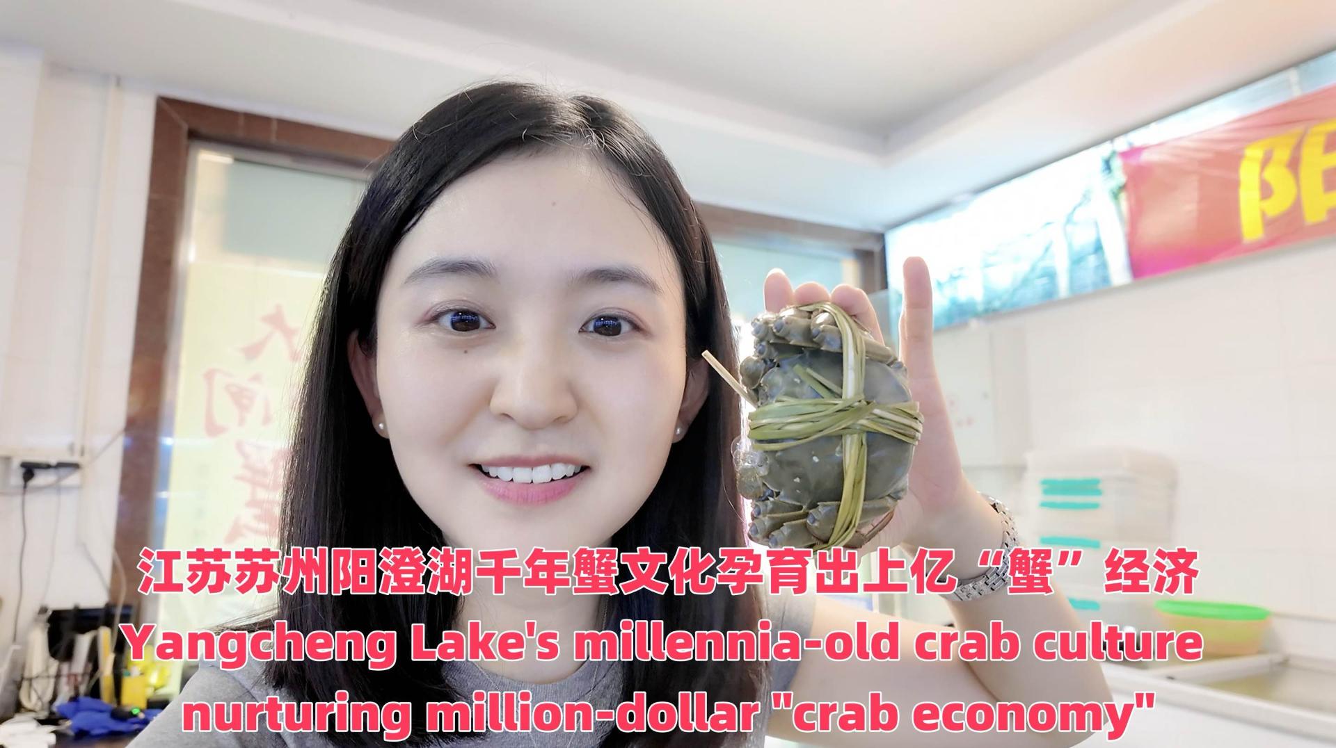 Yangcheng Lake's crab culture powers million-dollar economy
