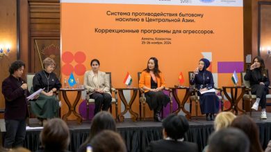 Central Asia Unites to Combat Domestic Violence at FES Conference