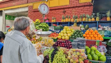 Global food prices soar to 19-month high in November: UN