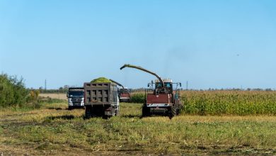 Kazakhstan’s Grain Exports to Reach 12 Million Tons This Year  