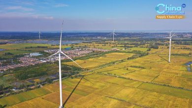 Live: Leveraging agriculture's "green factor" to raise "golden value"