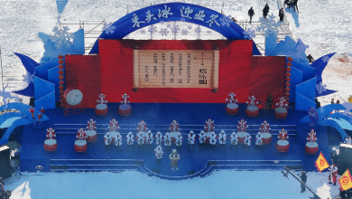 Live: The 5th Harbin Ice Harvesting Festival kicks off