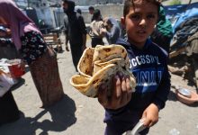Gazans scrape to feed families amid Israel's 60-day aid blockade
