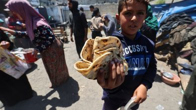 Gazans scrape to feed families amid Israel's 60-day aid blockade