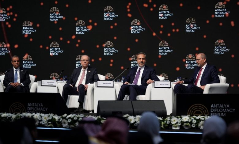 Muslim, Arab nations call for unified Palestine, unimpeded aid flow into Gaza