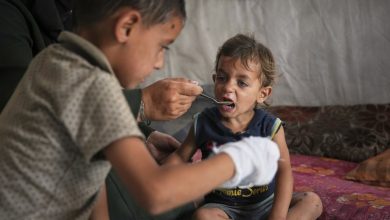 Aid workers in despair as Israeli blockade precedes Gaza famine