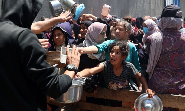 EU politicians demand Israel end Gaza aid blockade as death toll soars